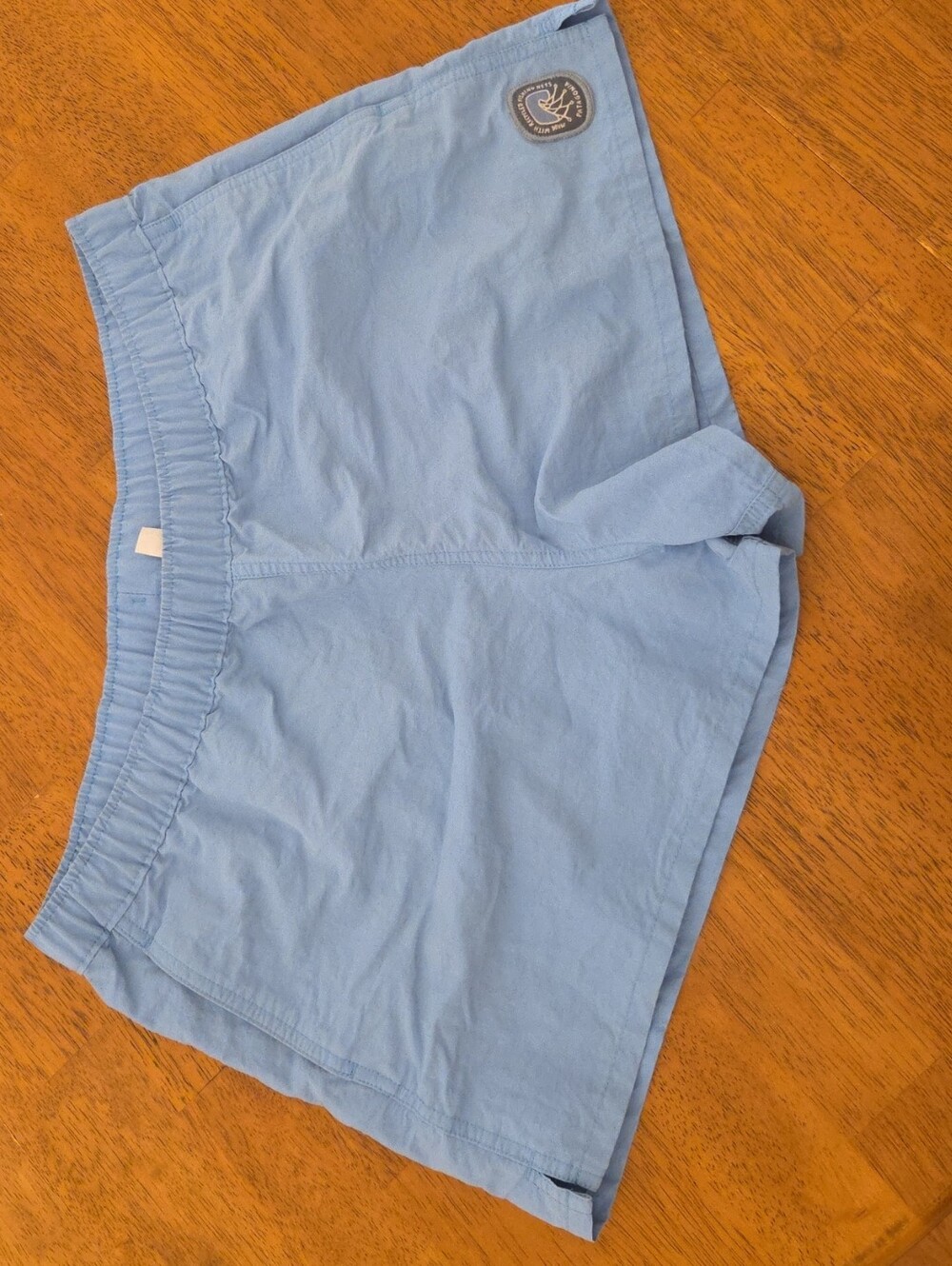 Patagonia Light Blue Women's Baggies Short